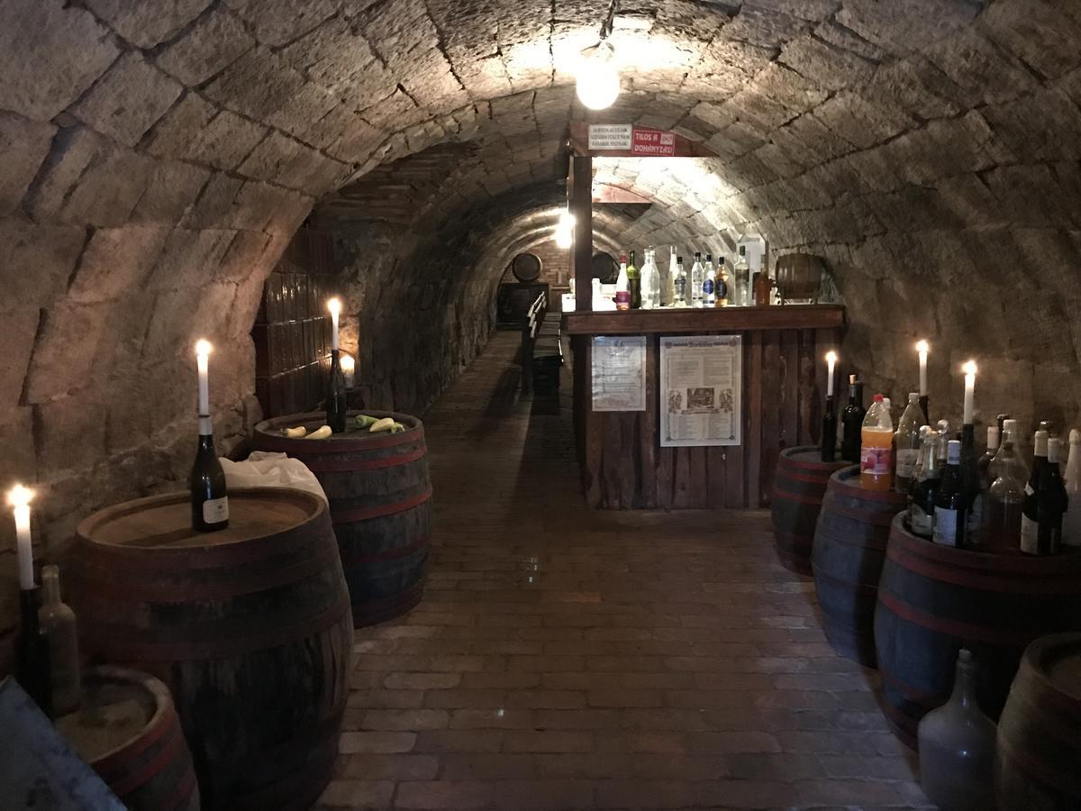 Ovar 12 Vendeghaz Tokaj Εξωτερικό φωτογραφία